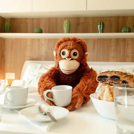 Lejlighed Monkey